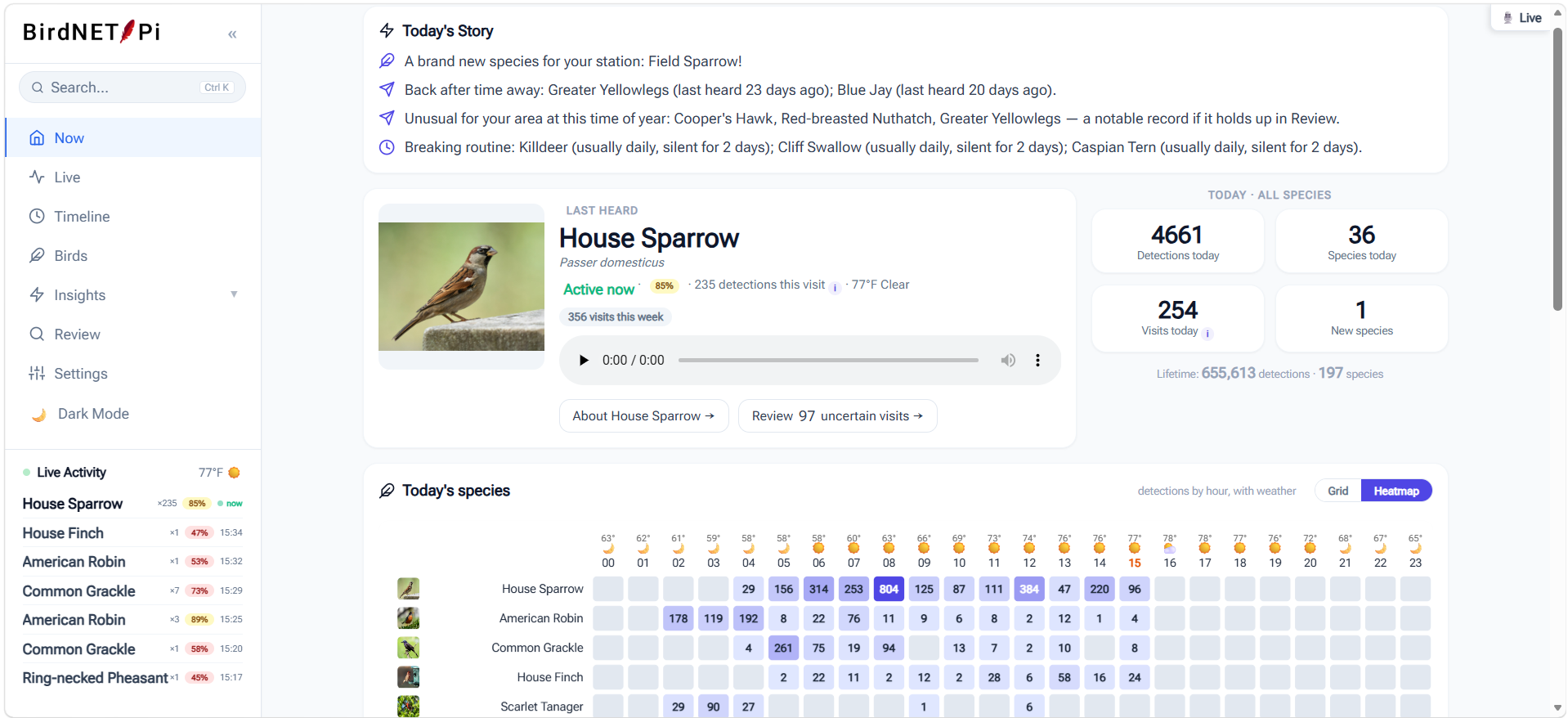 BirdNET-Pi Enhanced Version dashboard showing Today's Story, the last heard bird with a photo, detection totals, and an hourly species heatmap